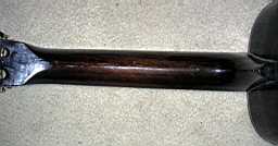 Lyon-Healey 1_2-sized Parlor PICT1418.jpg